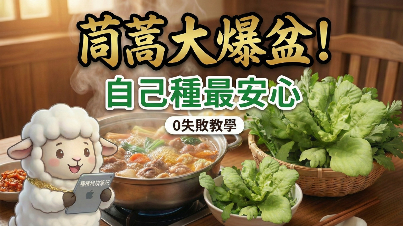 茼蒿種植教學:秋冬 25 天速成採收+冷藏催芽+兩次疏苗 SOP